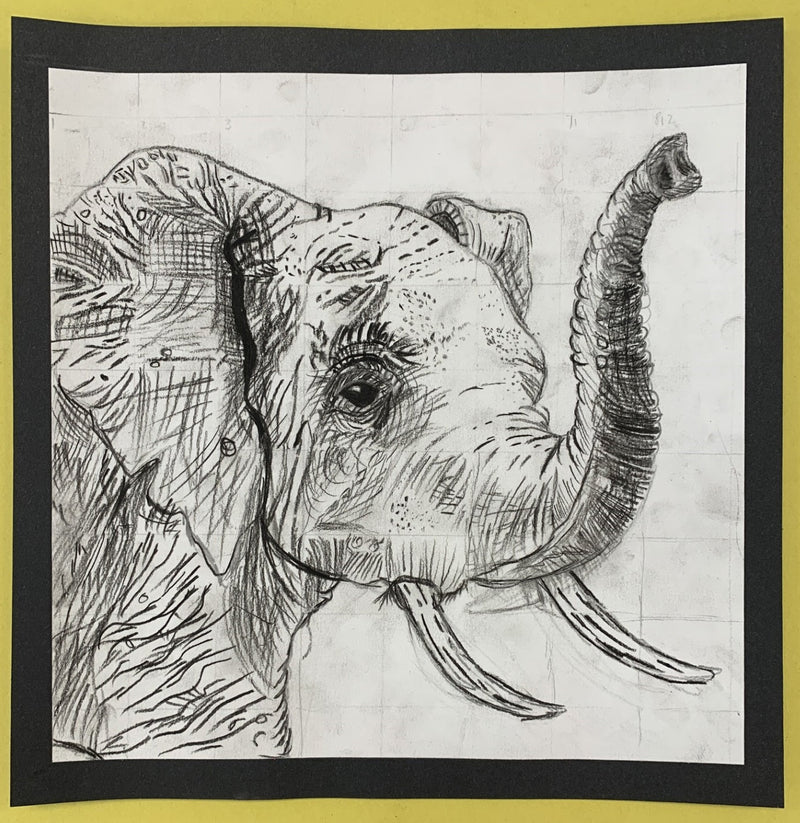 The 2025 Young@rt Show at Kitchener City Hall was a Hit!