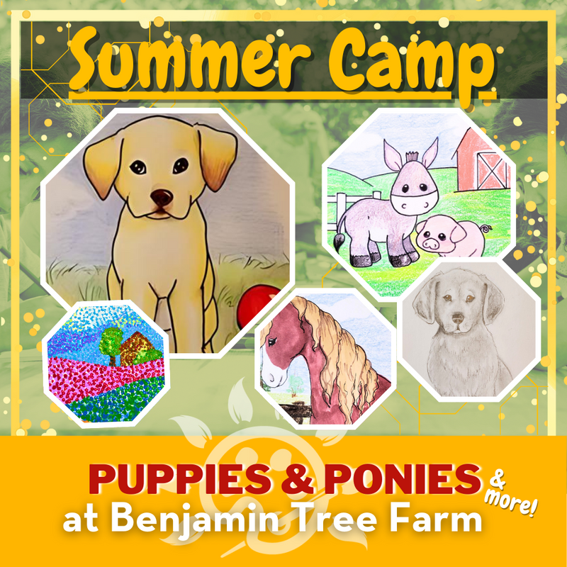 Puppies & Ponies Summer Camp: August 19th - 23rd at Benjamin Tree Farm