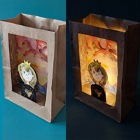 Livre + Projet d'Art | Artshine Raconte | La princesse dans un sac