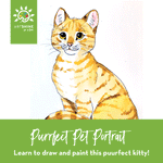 Art Kit +  Video Tutorial | Drawing & Watercolour Project | Purrfect Pet Portrait (Specialty Box)
