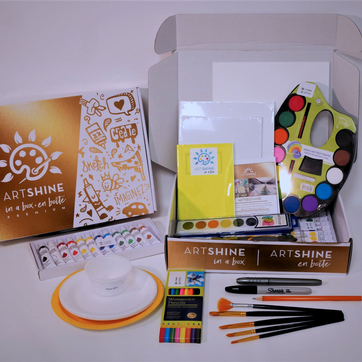 Watercolour Art Kit + Video Tutorials |  Create Fun Projects Using Watercolour Palette, Tubes, and Pencil Crayons (Premium Box)